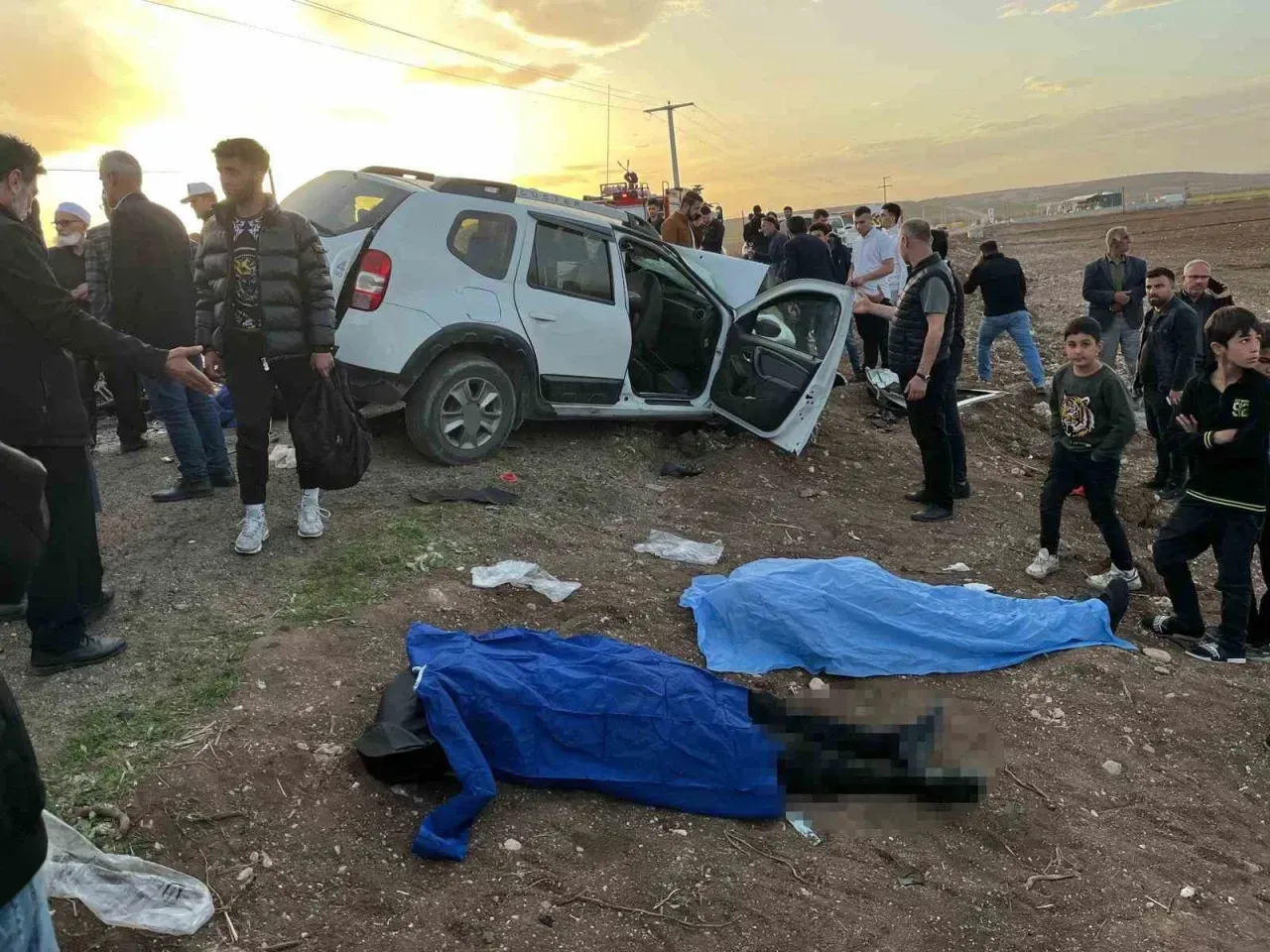 298942310-1743004536