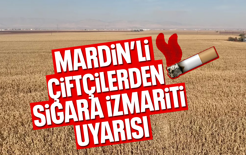 MARDİN HABER