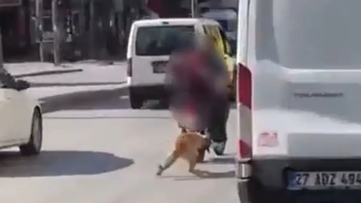 Gaziantep’te Vicdansızlık! Motosikletin Arkasına Bağladıkları Köpeği Sürüklediler