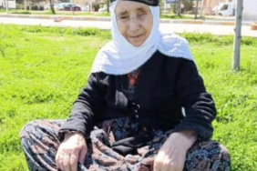 555838041_1429149382547880_4105797100963471828_n