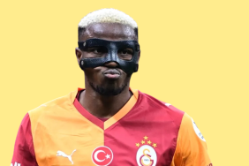 68ff9d6e4ac49597-Photoroom