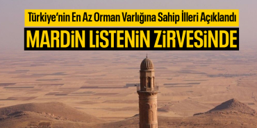 MARDİN HABER 456