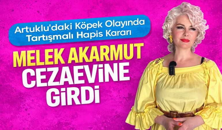 Artuklu’daki Köpek Olayında Tartışmalı Hapis Kararı