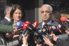 372006808-1771307739