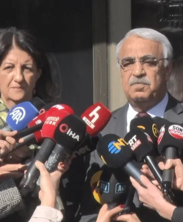 372006808-1771307739