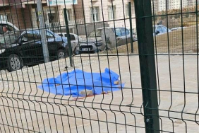 baeea00b-b4cd-4482-804d-b5e28e286149-1773834569