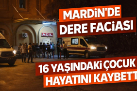 savur da dere faciası