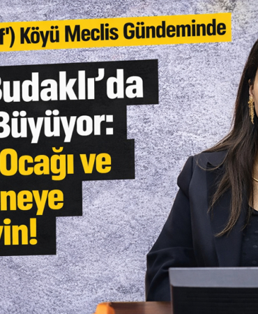 beritan güneş 580