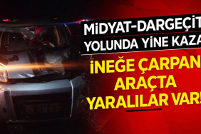 dargeçit midyat yolunda kaza