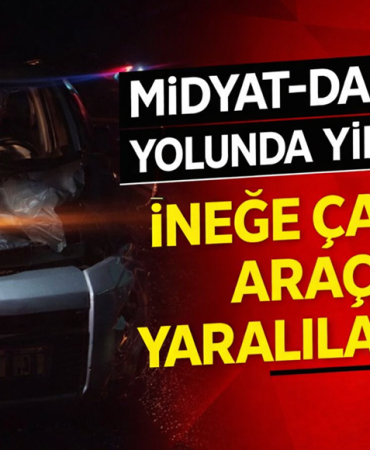 dargeçit midyat yolunda kaza
