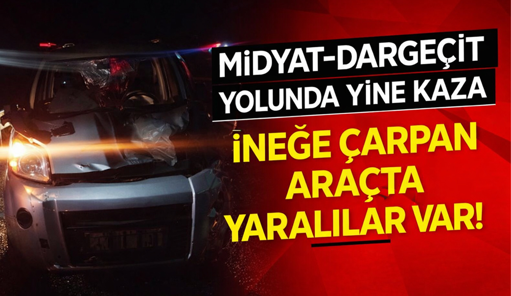 Midyat-Dargeçit Yolunda Yine Kaza