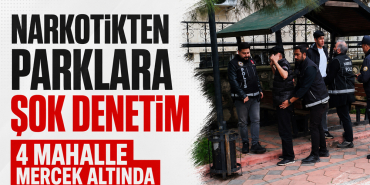 denetim