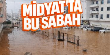 midyat sel