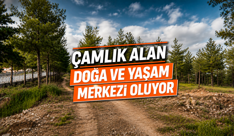 Çamlık Alan “DOĞA VE YAŞAM MERKEZİ” Oluyor!
