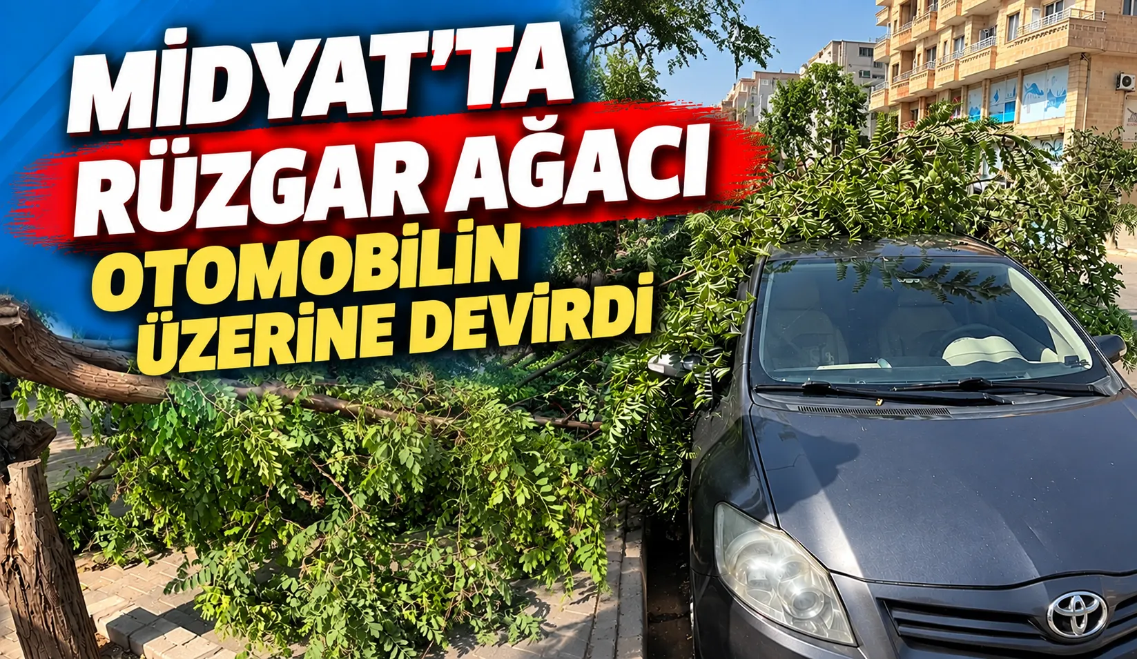 Midyat’ta Rüzgar Ağacı Otomobilin Üzerine Devirdi