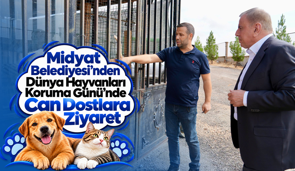 Midyat Belediyesi’nden Dünya Hayvanları Koruma Günü’nde Can Dostlara Ziyaret